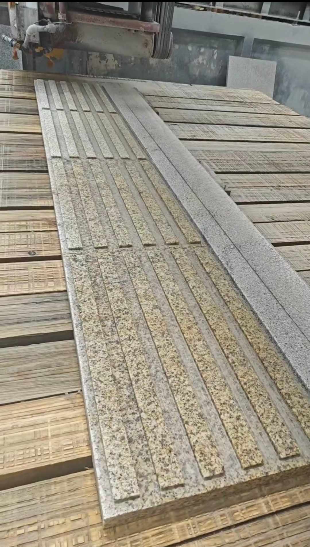 广西黄金麻盲道石 盲条